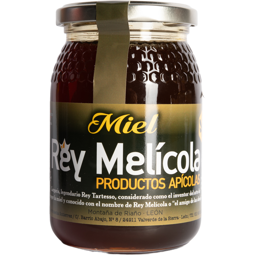 Rey Melicola - Spain