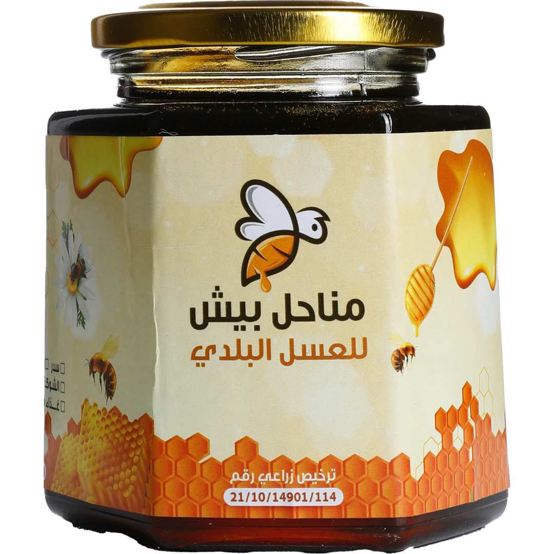 Mohammed Majeri - Manahel Besh - Saudi Arabia