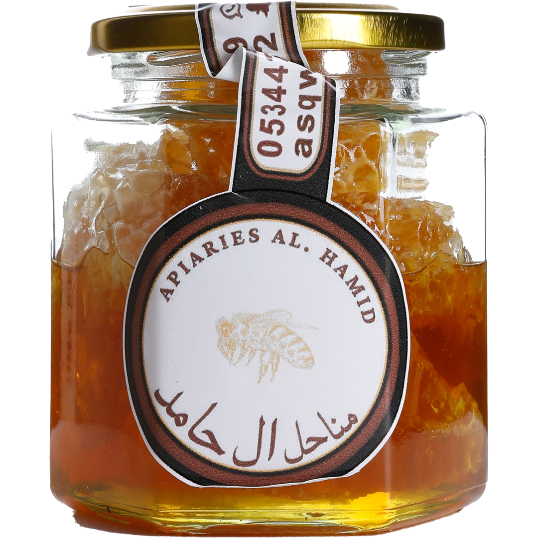 Manahel Al Hamed - Saudi Arabia