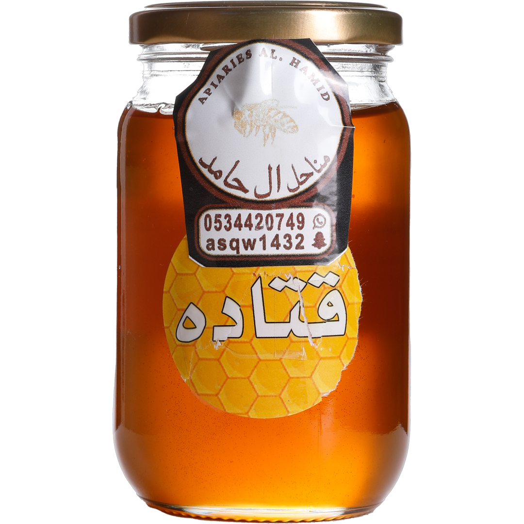 Manahel Al Hamed - Saudi Arabia