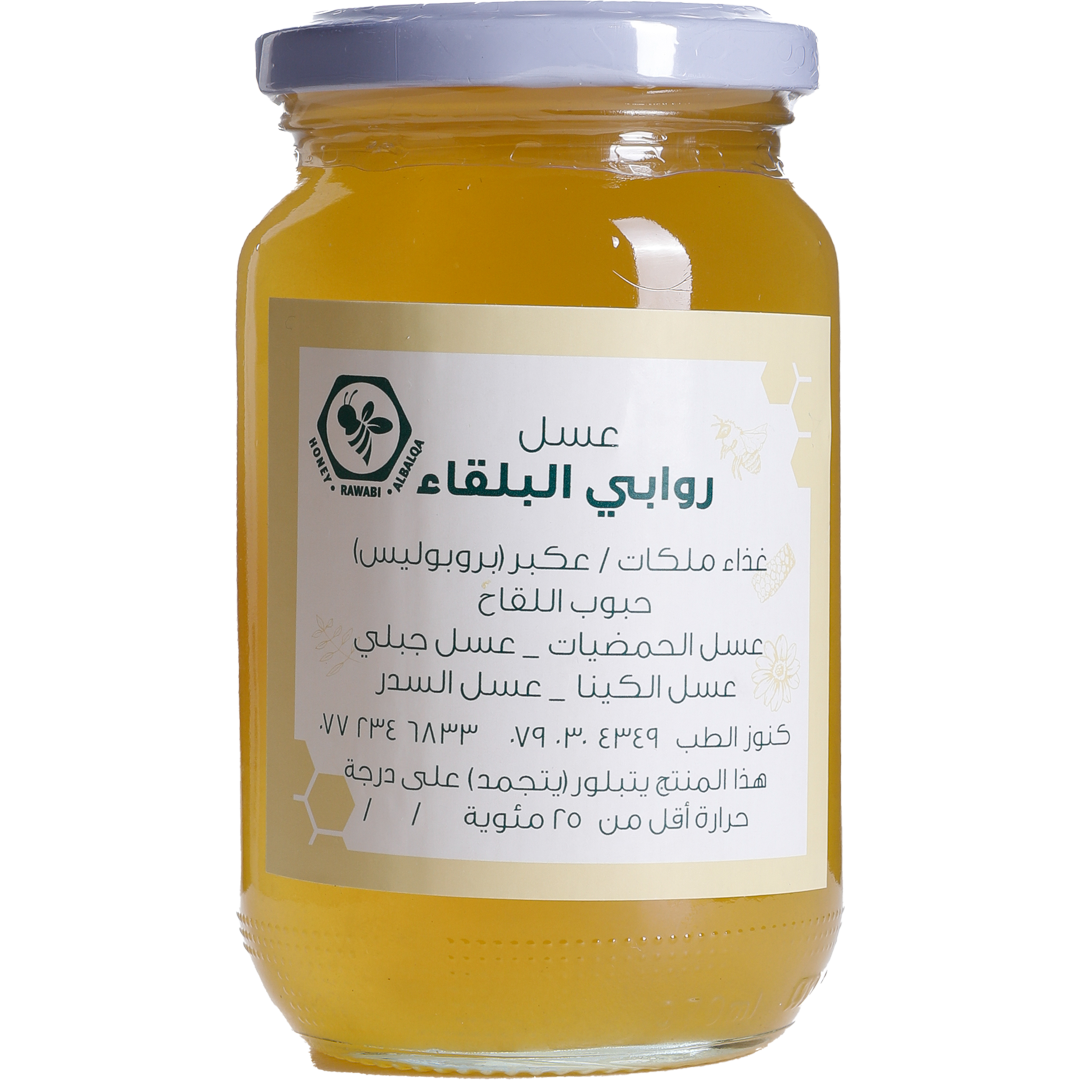 Mubarak Khalifah Saed Altwaheih - Jordan