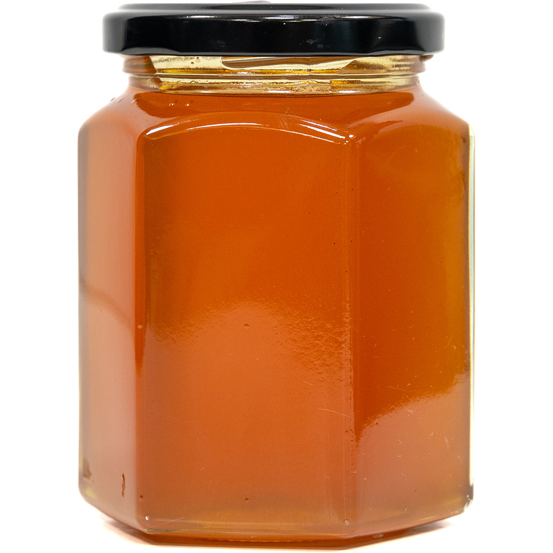 Apícola Marco SC - Spain