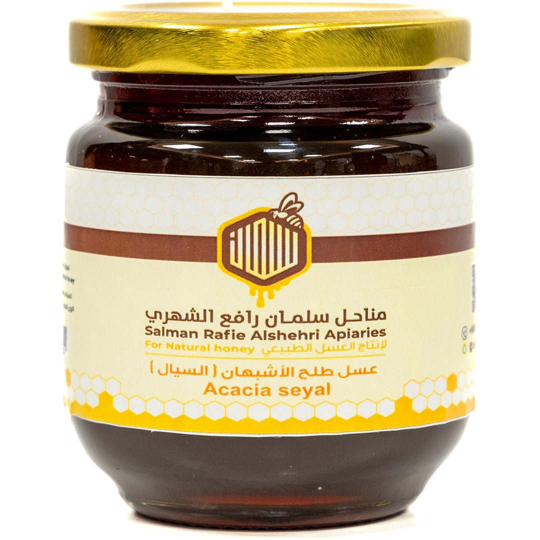 Acacia Seyal - Manahel Salman Rafi Alshehri