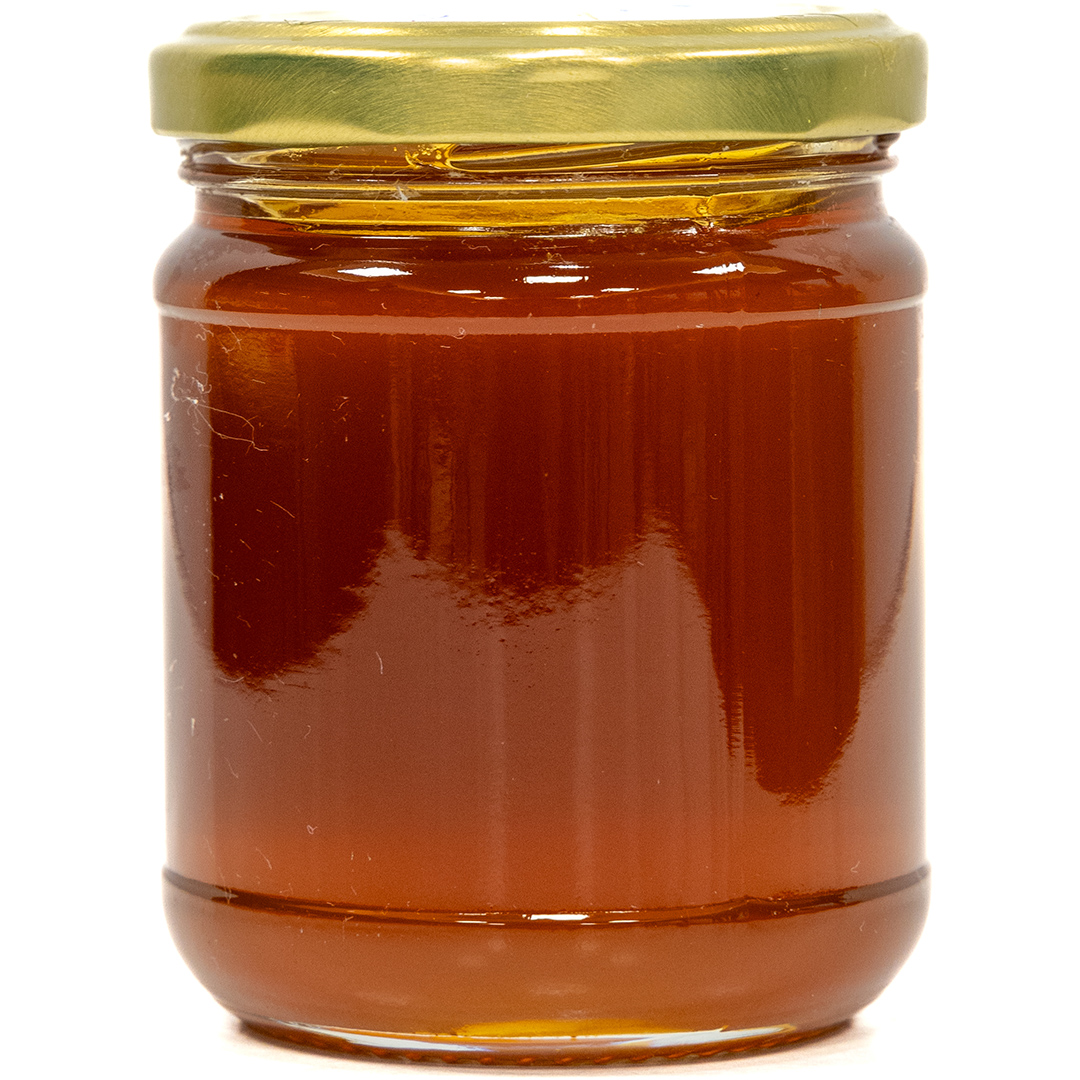 Ziziphus Nummularia - Founder Of Nabaa Al-Shifa Foundation