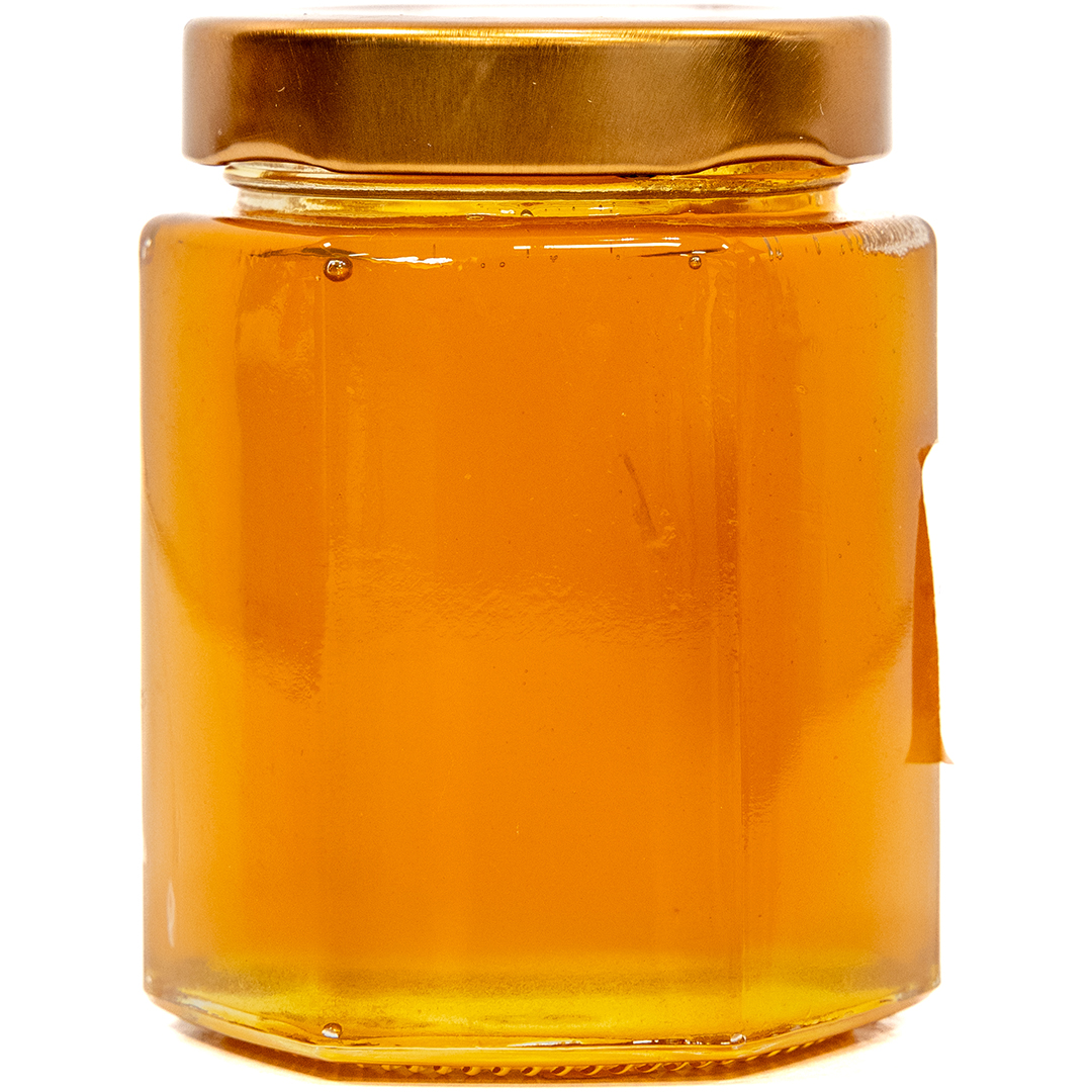 Cucurbita - Mohammed Alquayyid