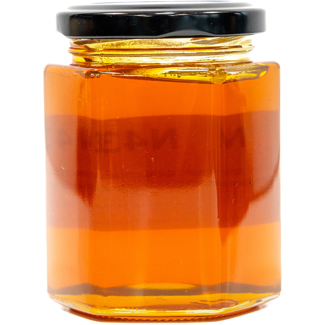 Ziziphus Nummularia - Ibrahim Kolban